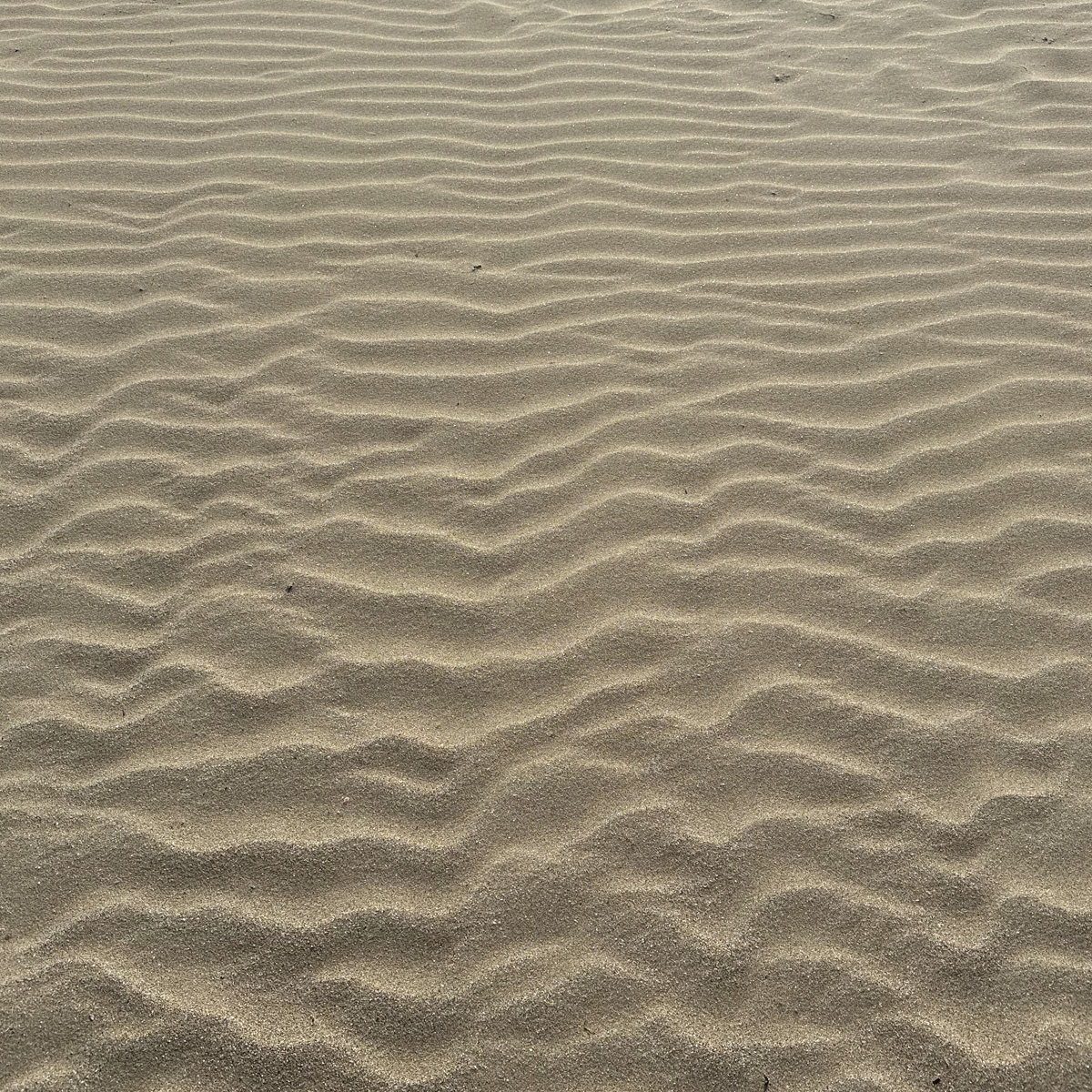 Home mariano amenabar sand art 1 d