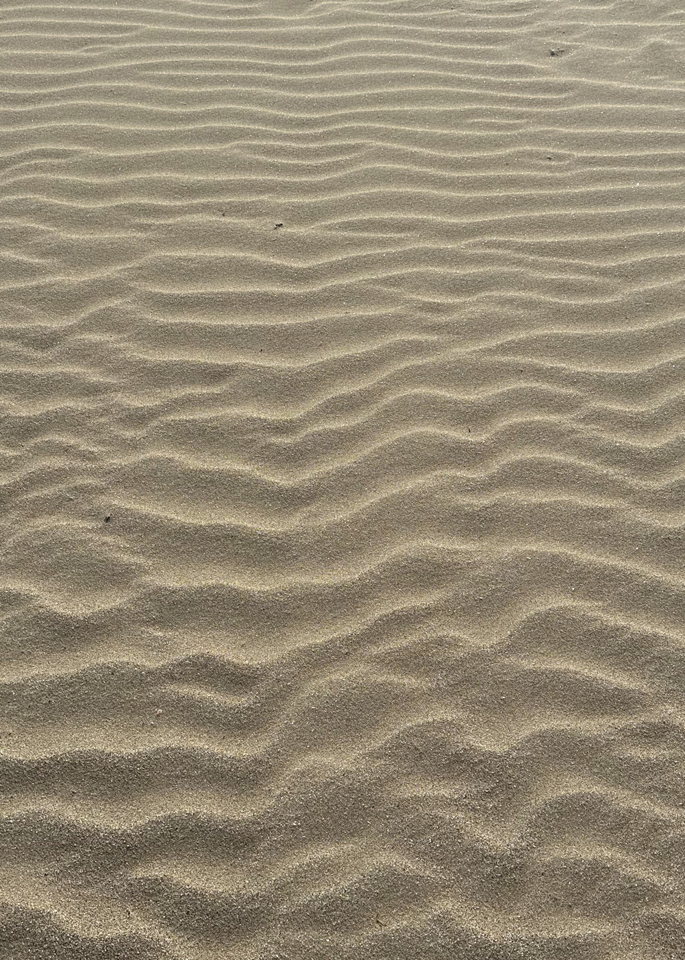 Home mariano amenabar sand art 1 m