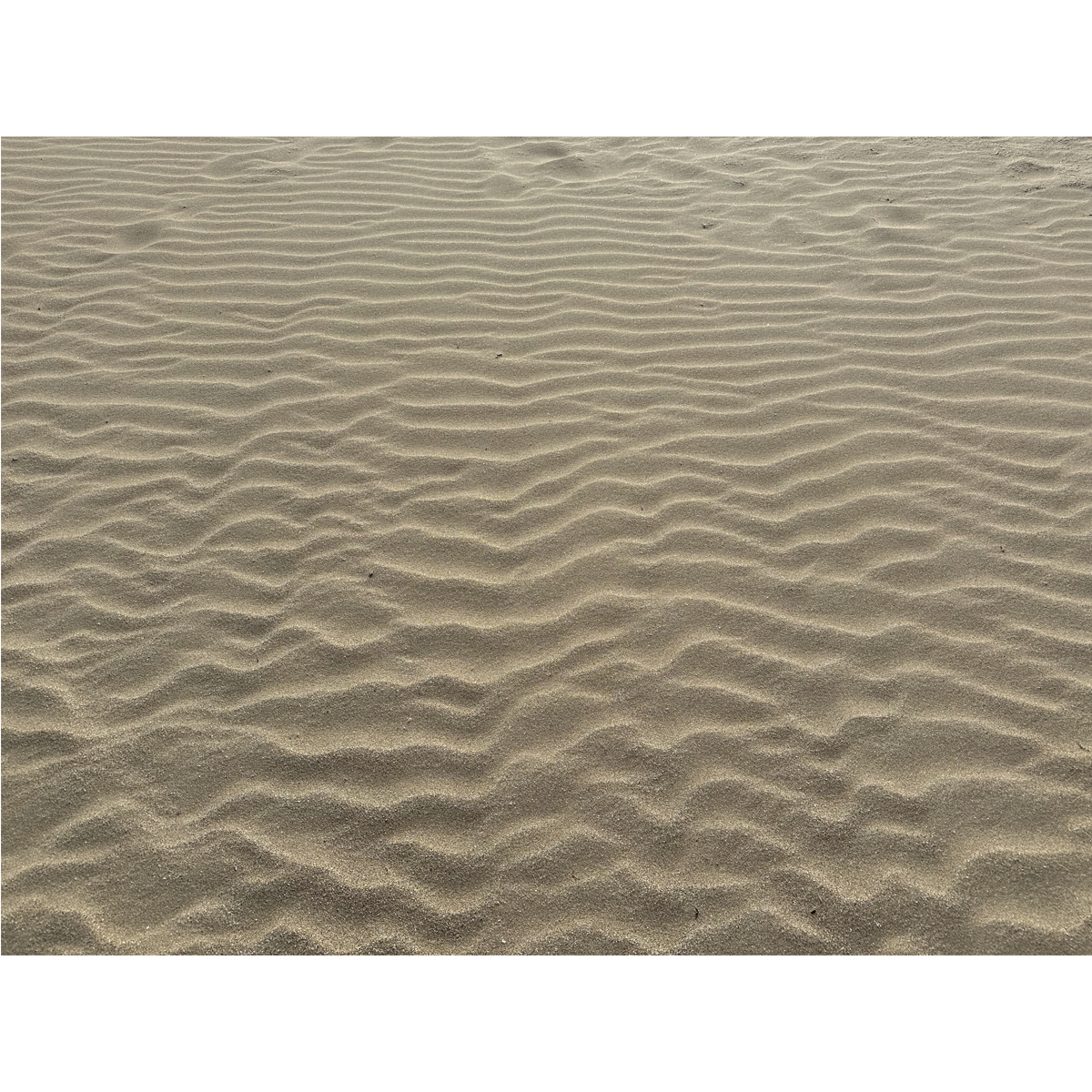 Home mariano amenabar sand art 4 d png