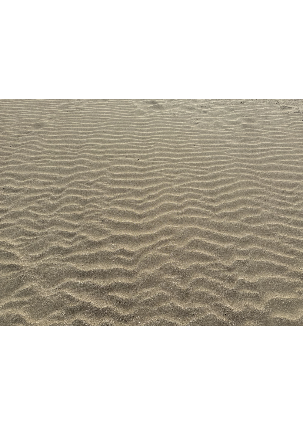 Home mariano amenabar sand art 4 m png